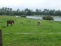 Olanda 2011  - 46
